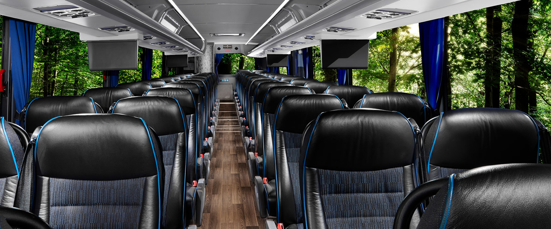 Reading Reviews and Ratings for Bus Companies: What You Need to Know
