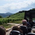 Discover the Top Bus Routes in Your Area