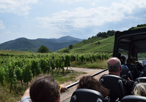Discover the Top Bus Routes in Your Area